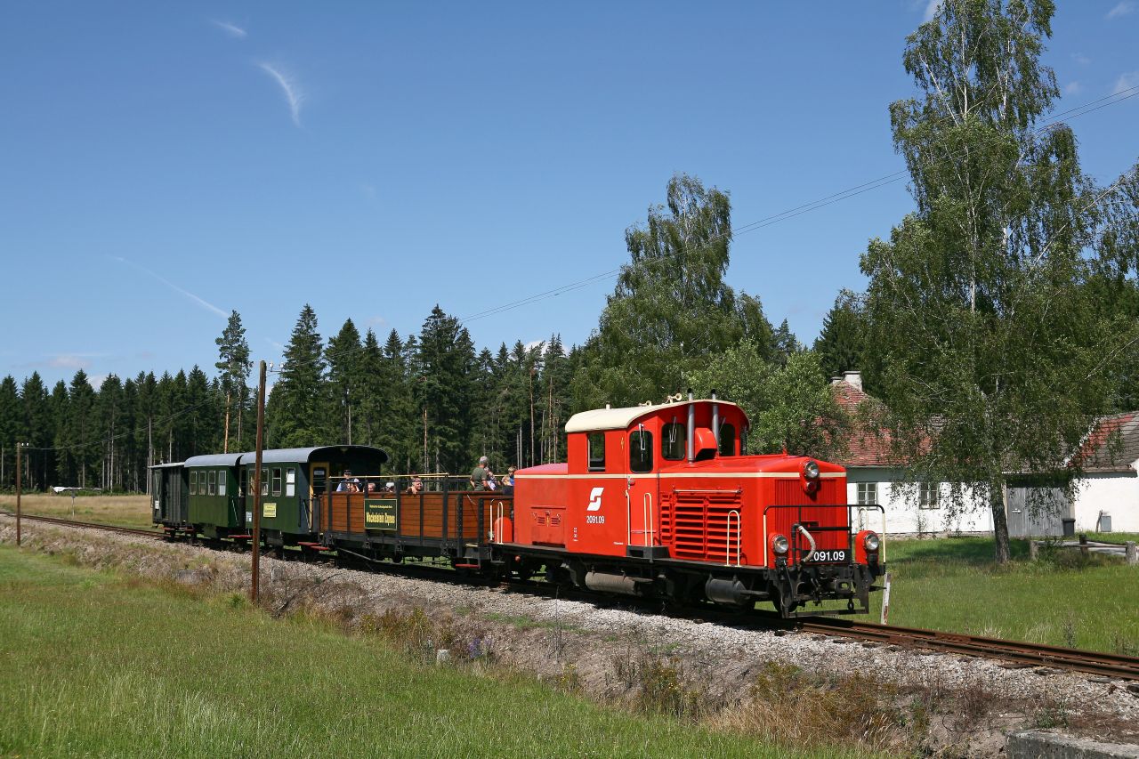 Wackelstein-Express